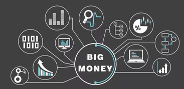 生于粗放，死于放纵 互联网数据服务创业项目的生死启示