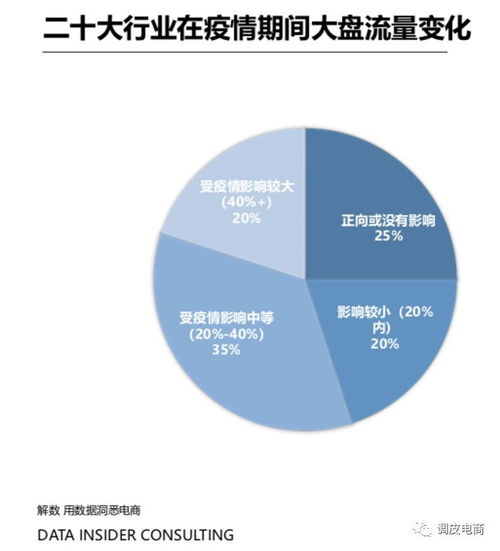疫情风暴中的电商互联网 数据之海，涨落惊心